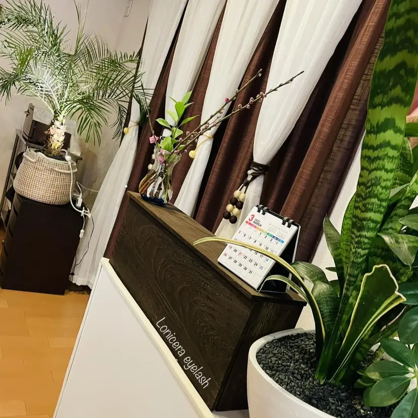 ロニセラ アイラッシュの掲載