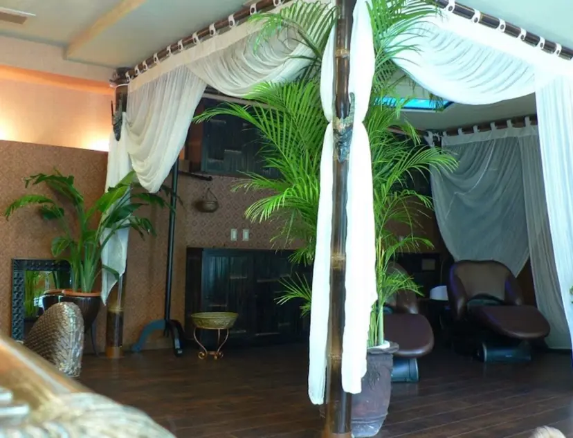 三澤 今日子の掲載