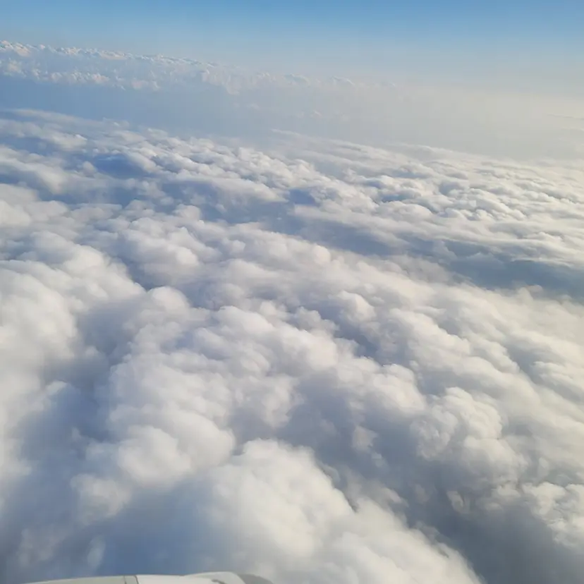 🐬似合わせ🦈 佐々田 桜江の掲載