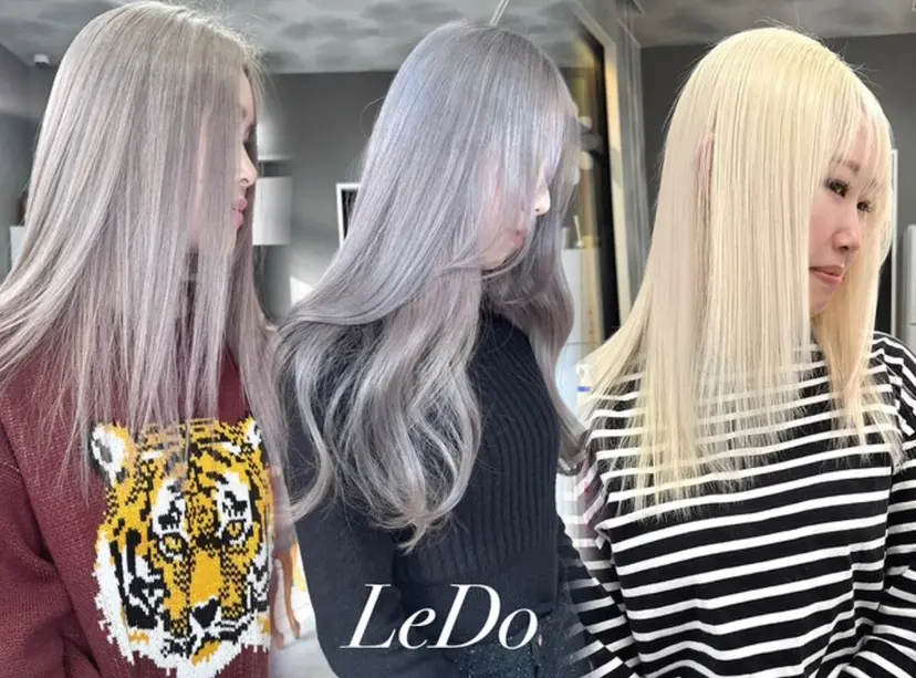 LeDo / rinaの掲載