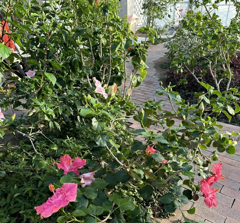 ロジェブルー 川合【和泉中央】の掲載