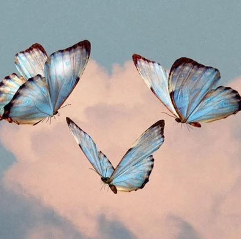 下山 萌華の掲載