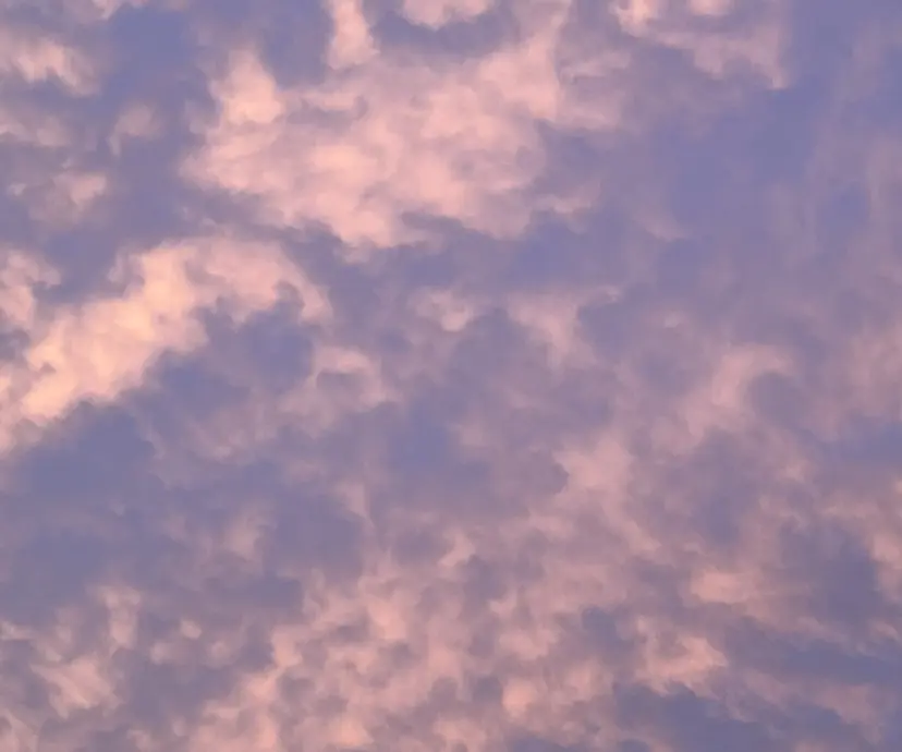 伊藤 茉椰の掲載