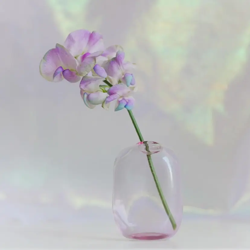 \  r eyelash  /の掲載