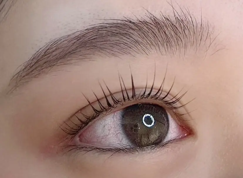 尾崎 麻奈美の掲載