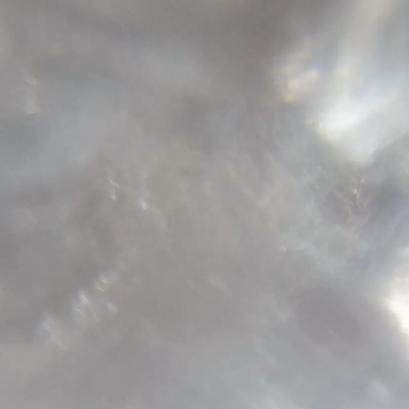 矢野 麗菜の掲載