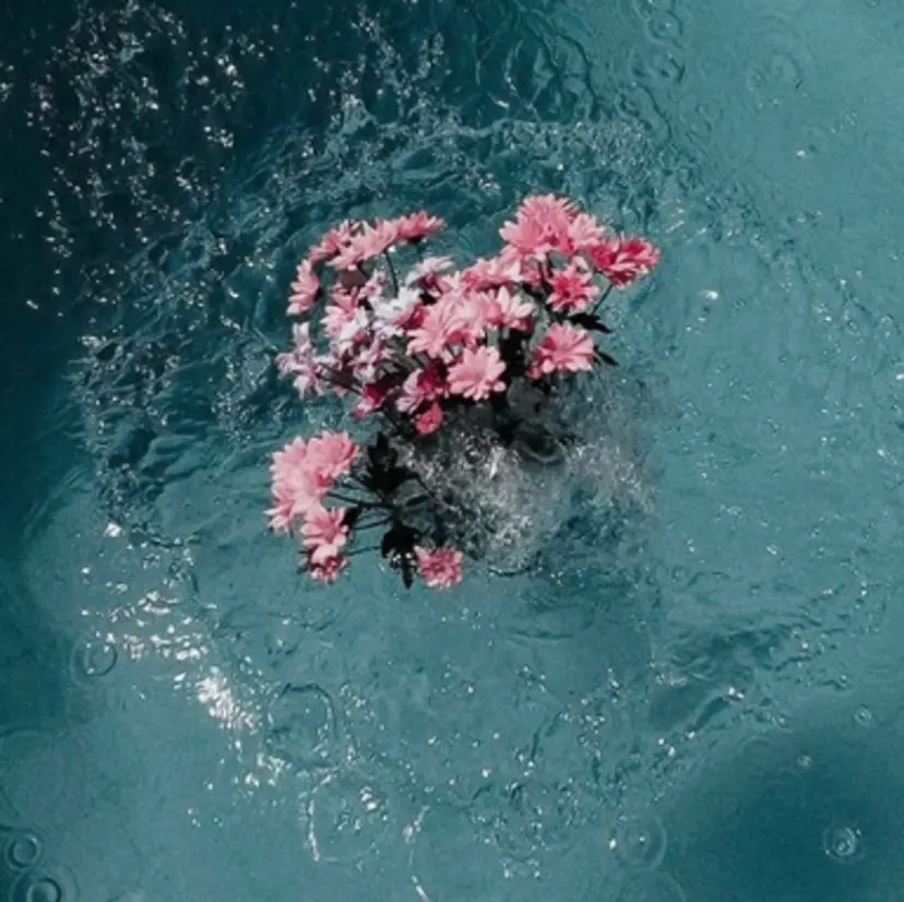 setup りこの掲載