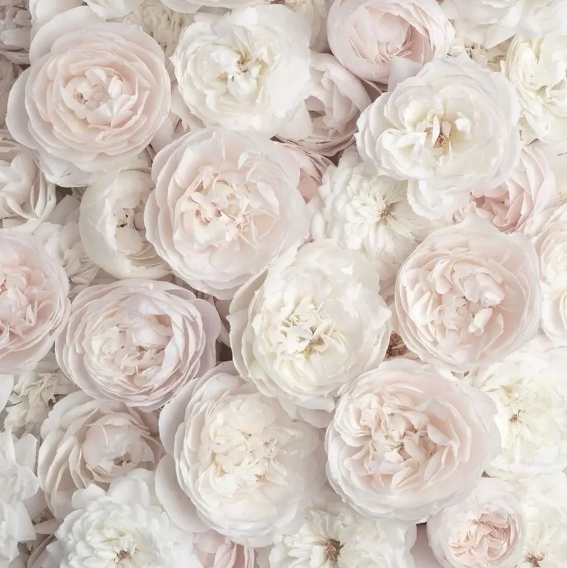 江角 愛理の掲載