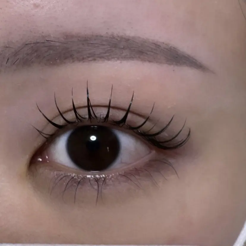 マリーテレジア 🎀KONNO🎀の掲載