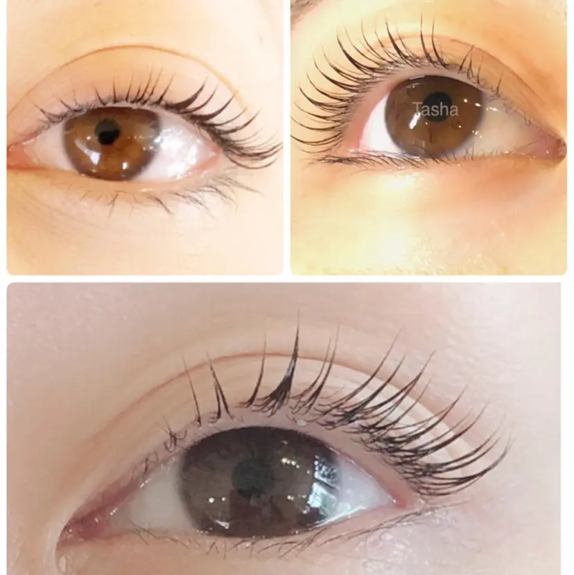 加藤 妙子の掲載