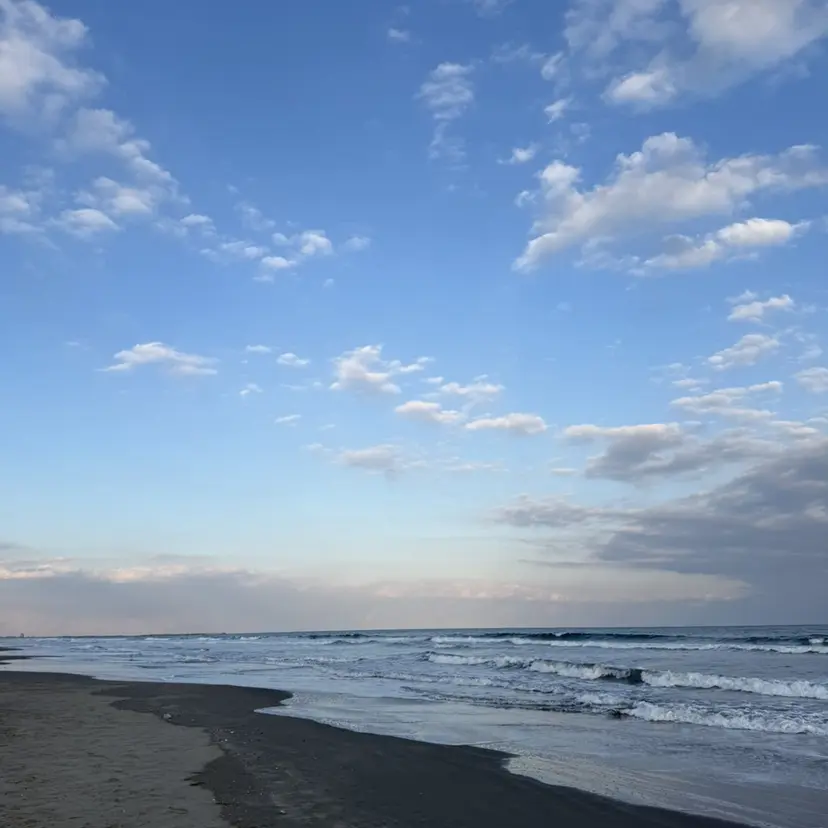 渡邉 優愛の掲載