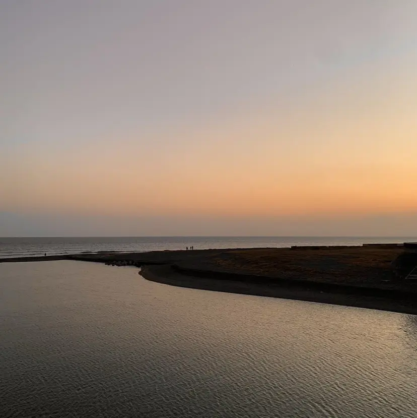 Hana / knackの掲載