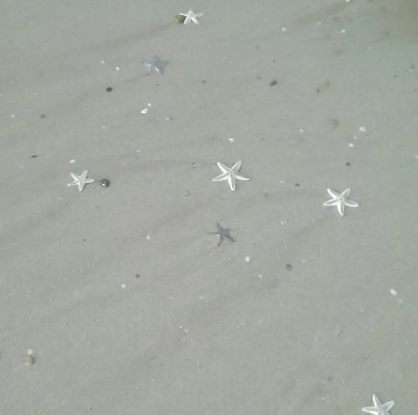 suzuna 🫧の掲載