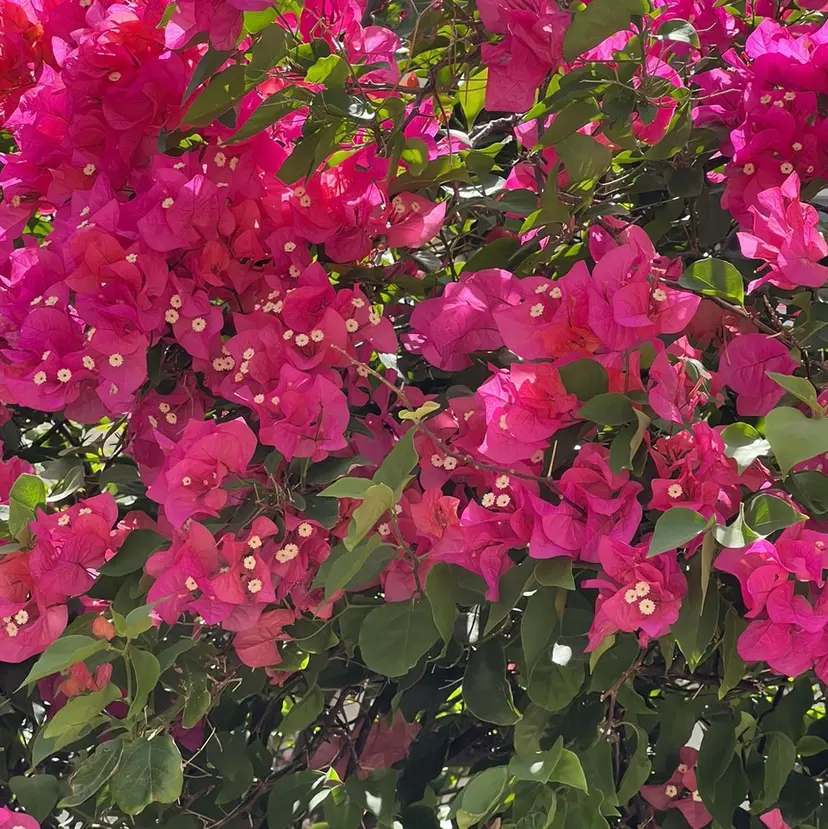 tsumugi🌿 YURIの掲載