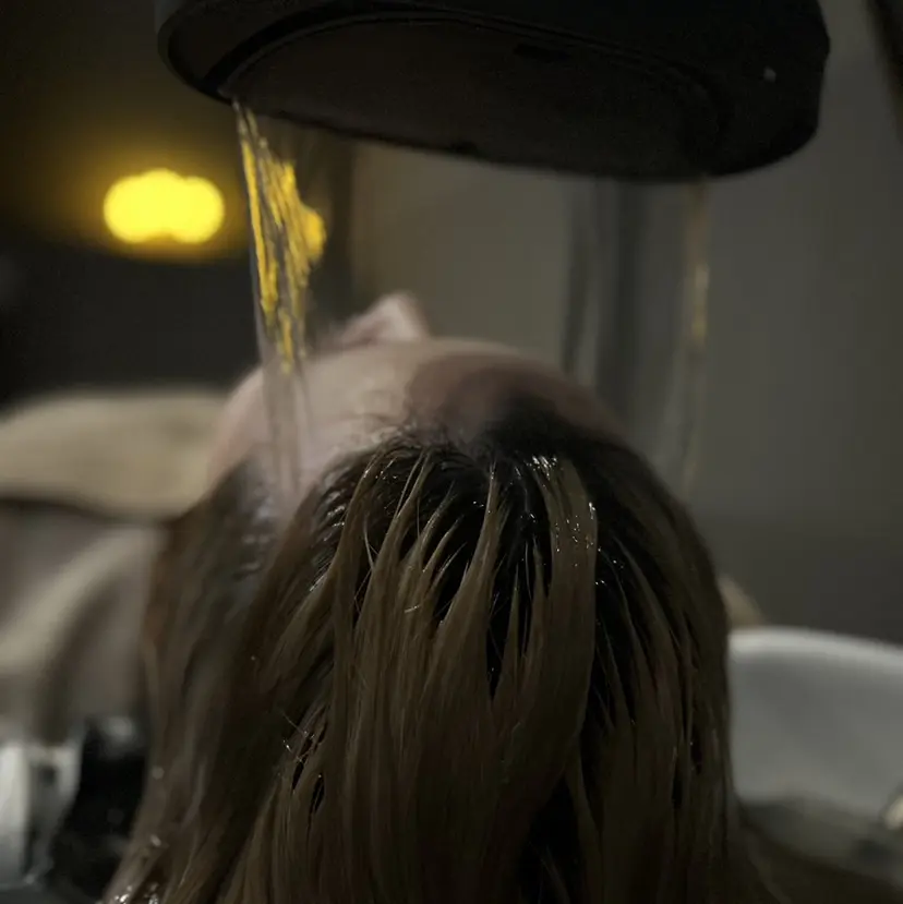 入稲福 夢佳の掲載