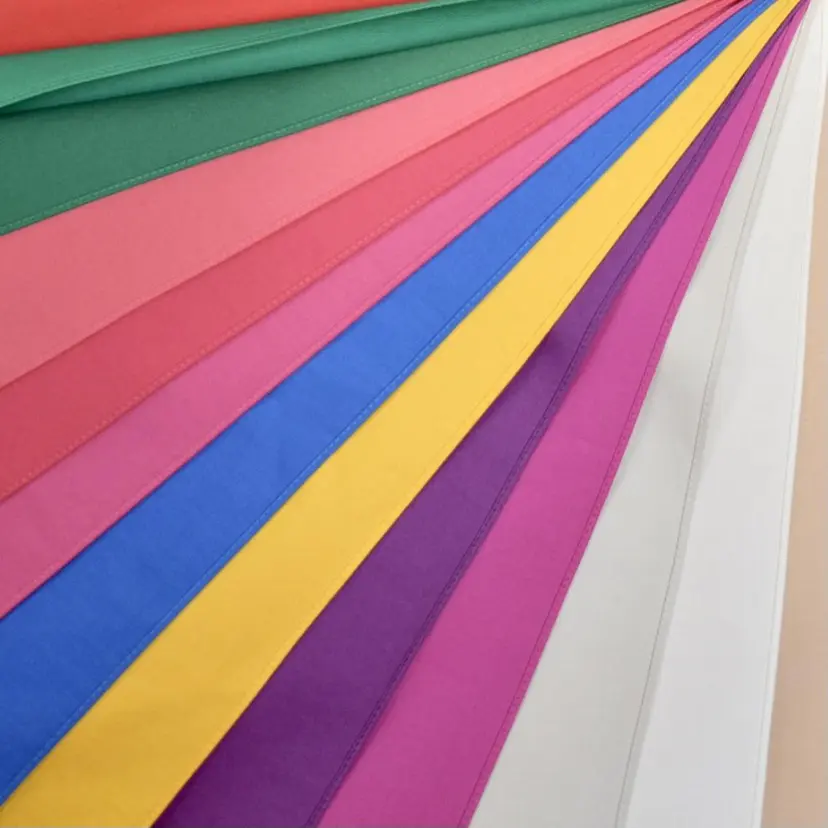 Sunny Side レイの掲載