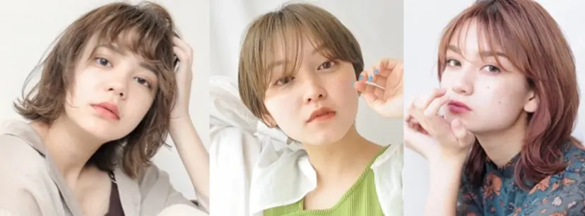 南澤 佑介の掲載