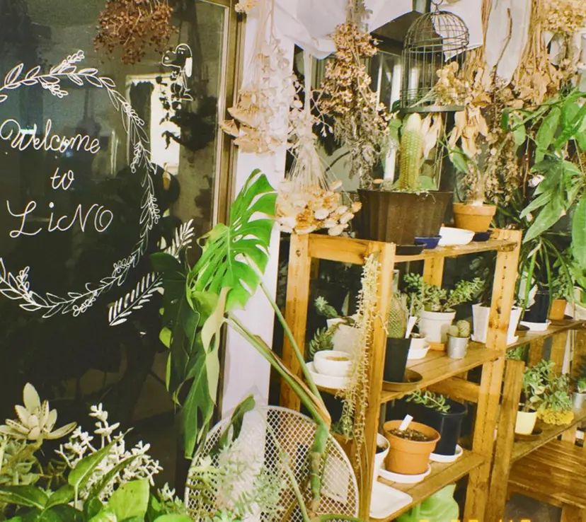 佐藤 美咲の掲載