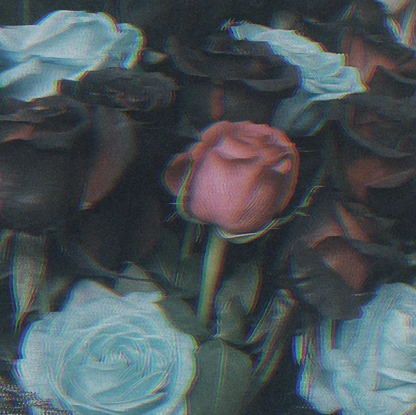 mahiro 🦎の掲載