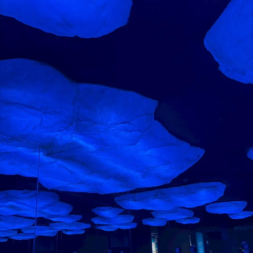 津村 優明の掲載