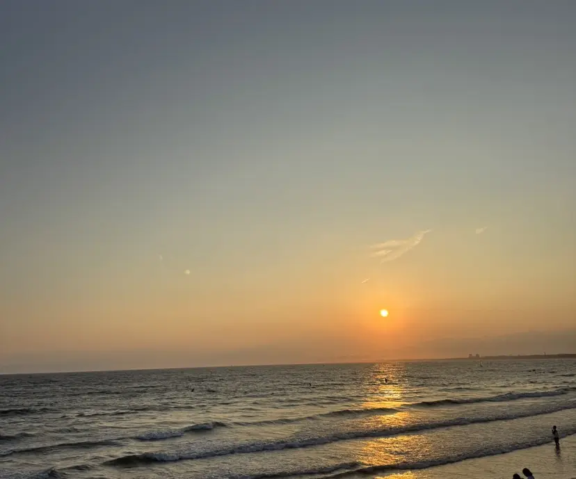 ホリグチ ルナの掲載