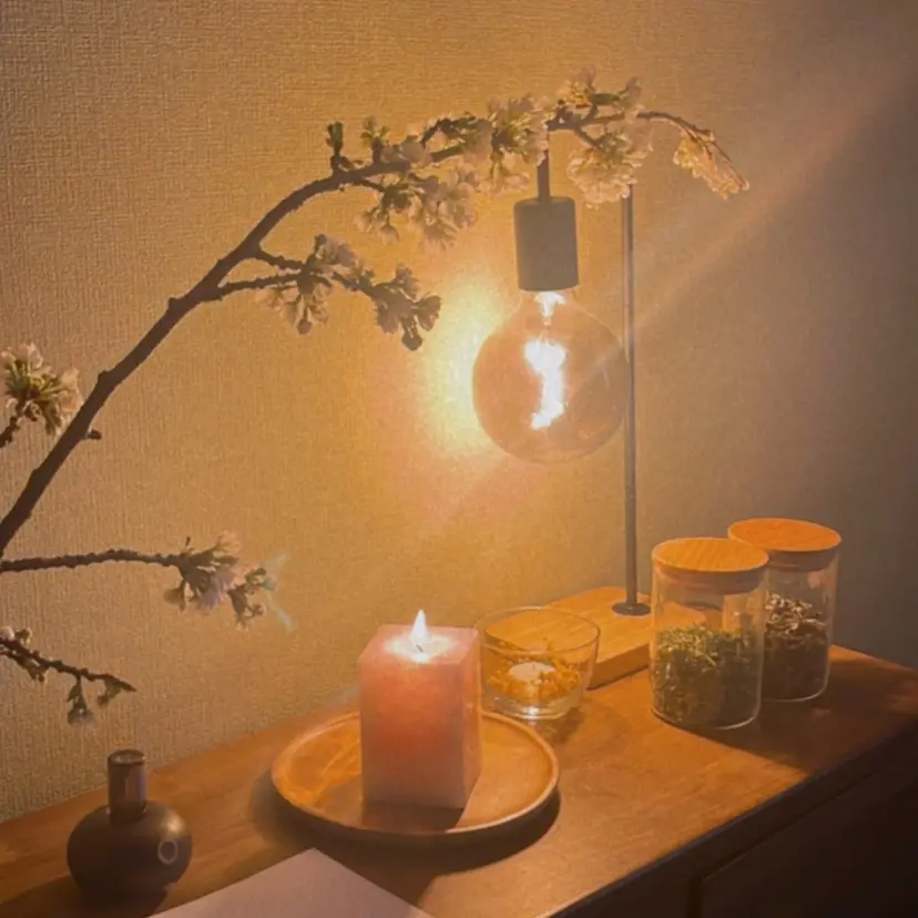 SHIKI モリンガ蒸し/水光肌の掲載