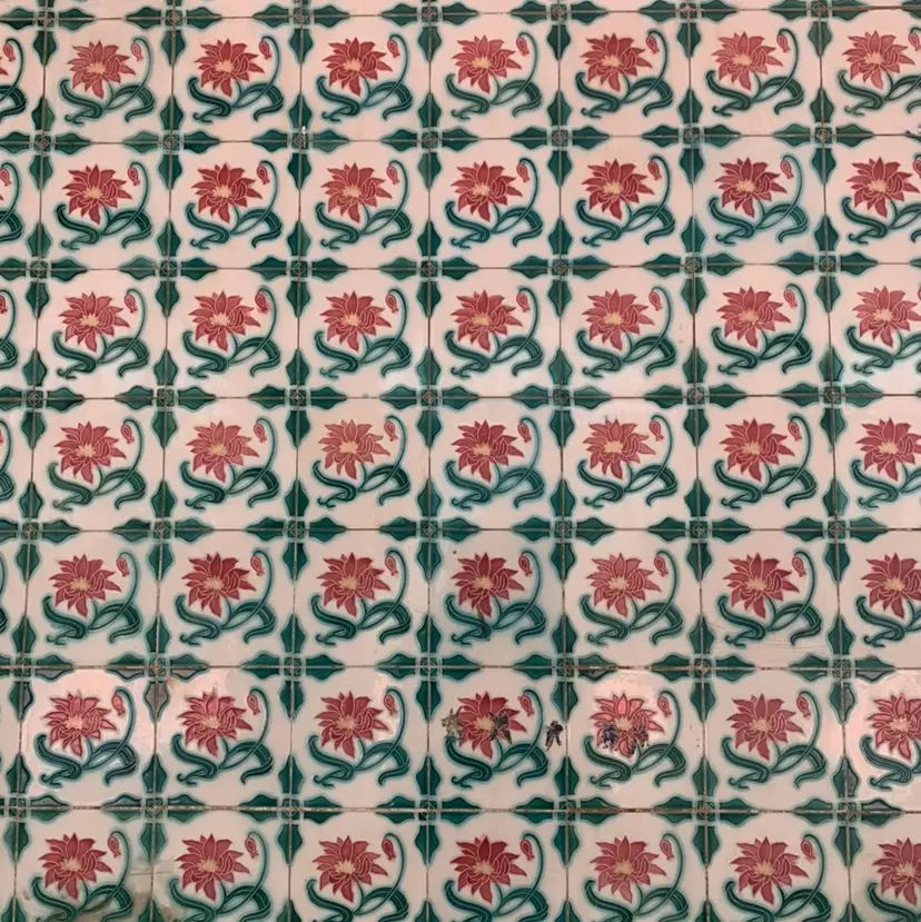 甲斐 千尋の掲載