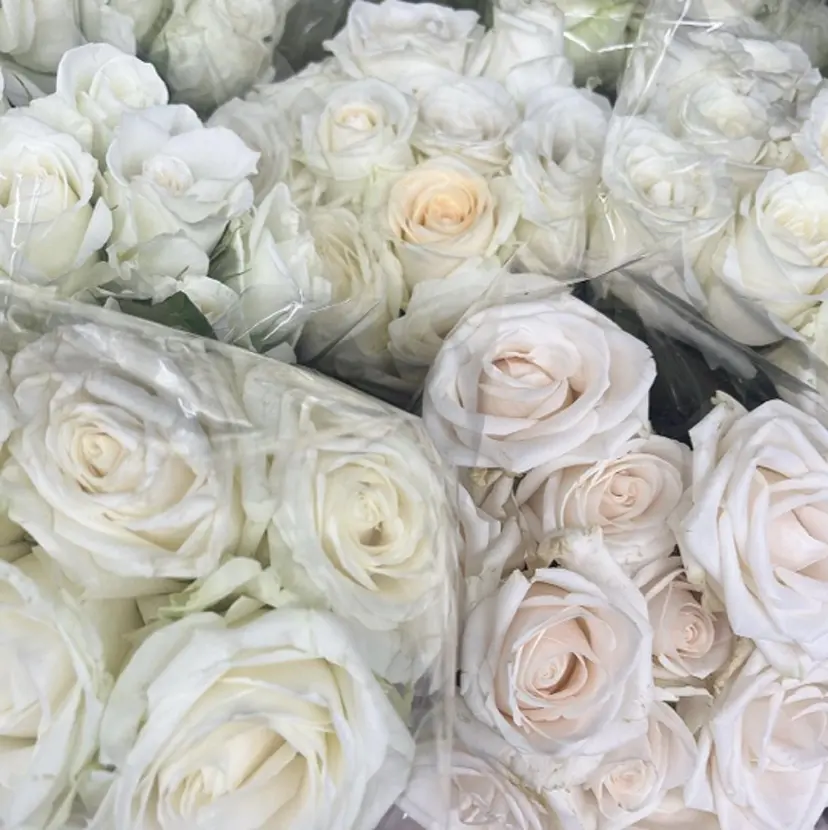 副島 なつの掲載