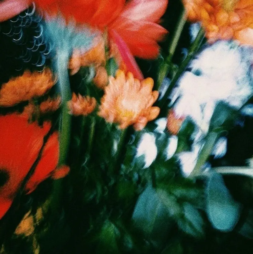 林 浩太郎の掲載