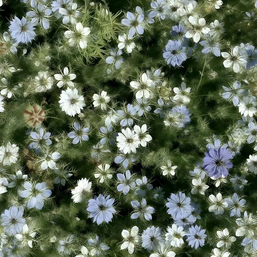 Mslash マナミの掲載