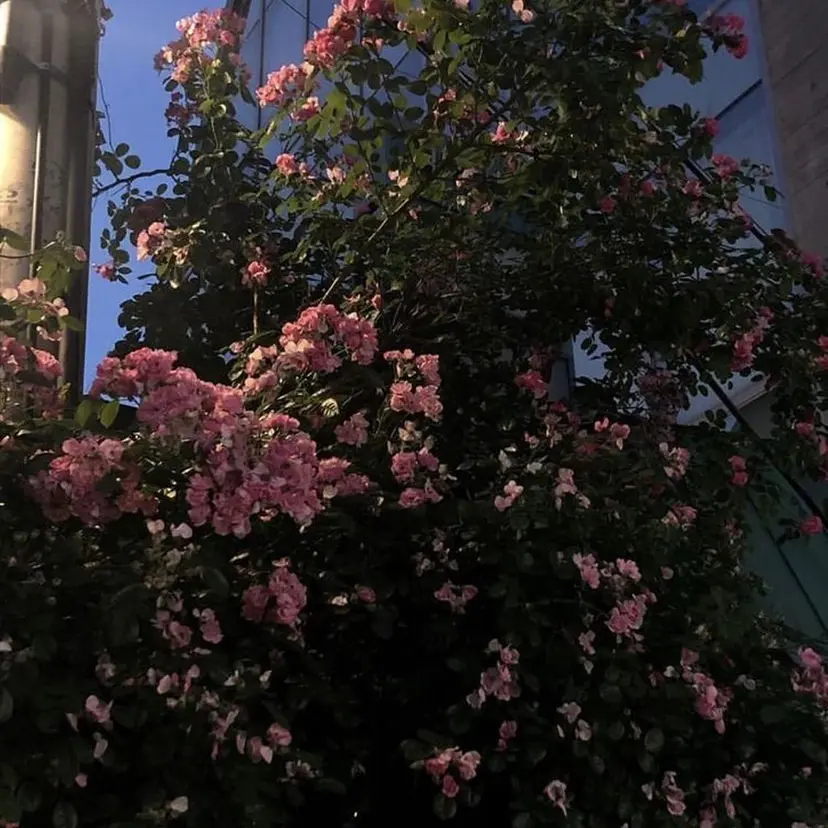 🎀池袋🤍透明感 カラー  uRaraの掲載