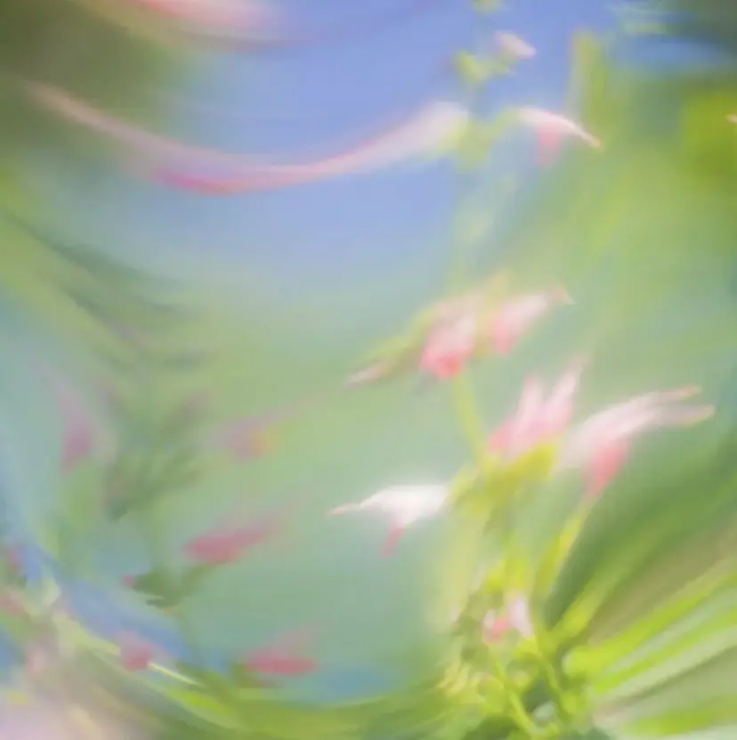 SYS by fit /HONOKAの掲載