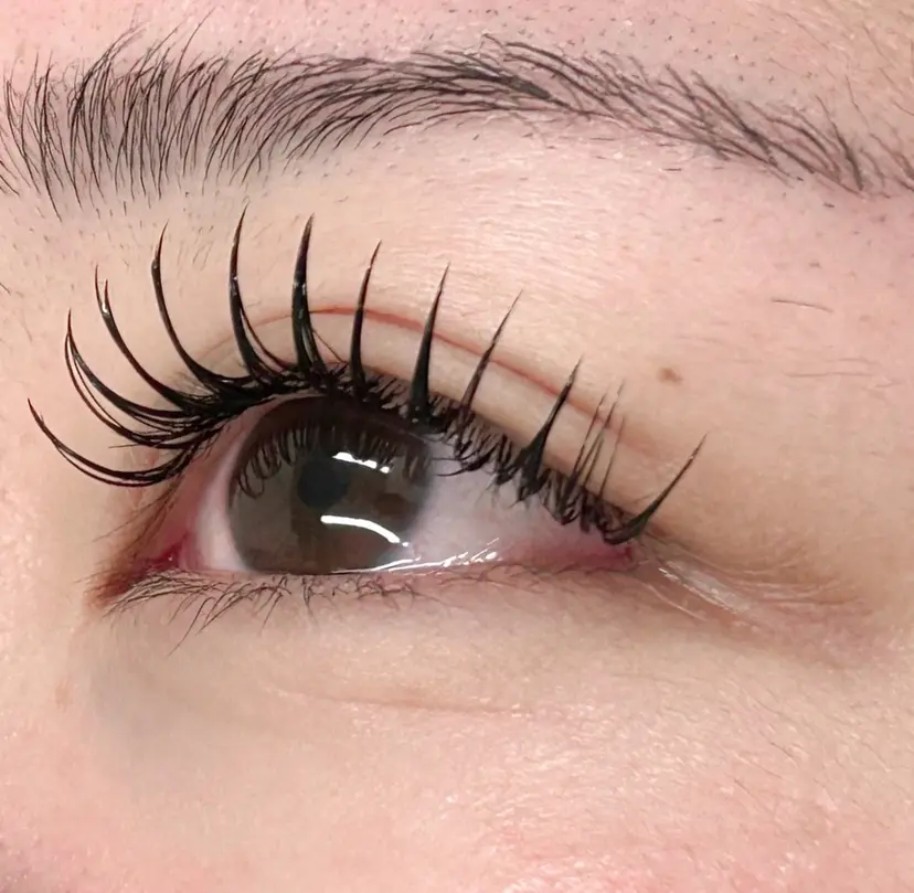 MAQUIA スタッフの掲載