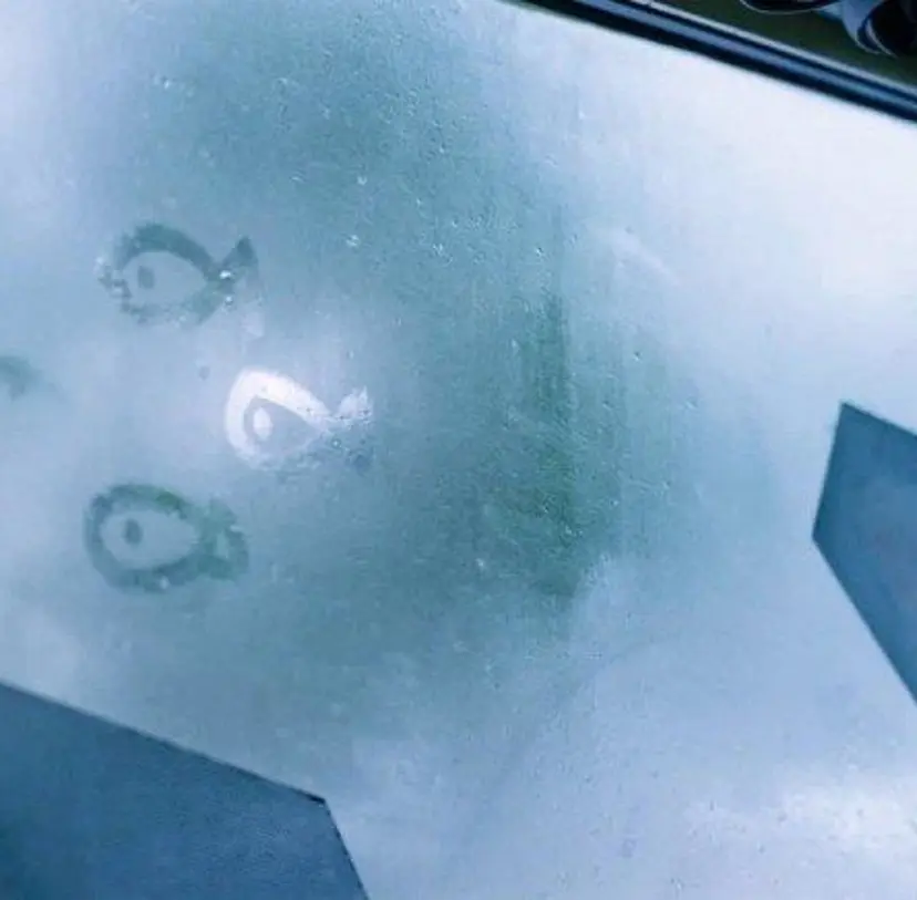 カワイイ保証🤍🪄 yuiの掲載