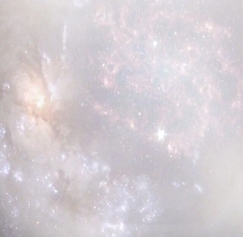 中村 彩奈の掲載