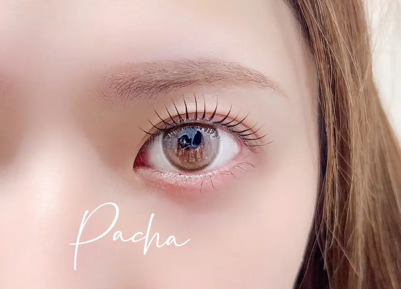 Pacha 萬木の掲載