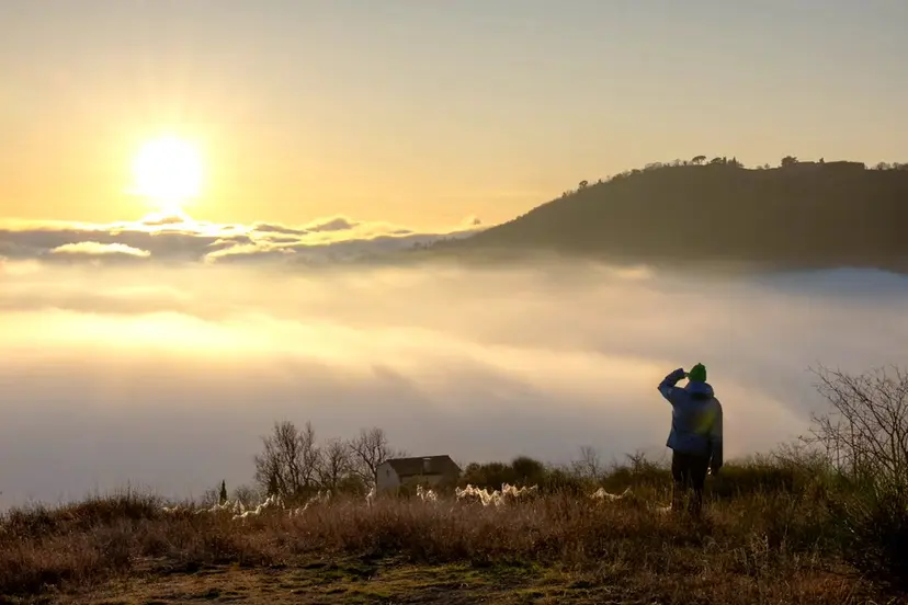 las PAVILIONの掲載