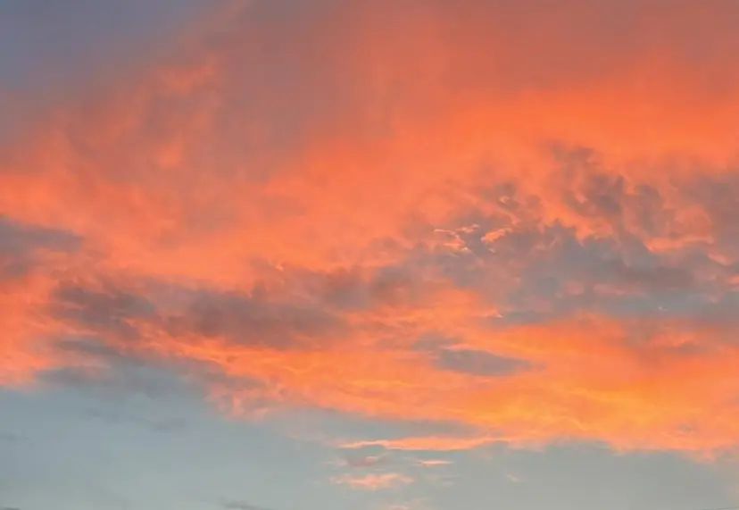 𝗲𝗶𝗴𝗵𝘁 𝗛𝗢𝗡𝗗𝗔の掲載