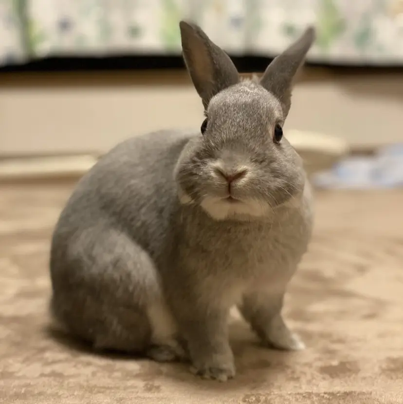 𝚂𝙴𝙸𝙺𝙰 ୨୧ ‧₊˚の掲載