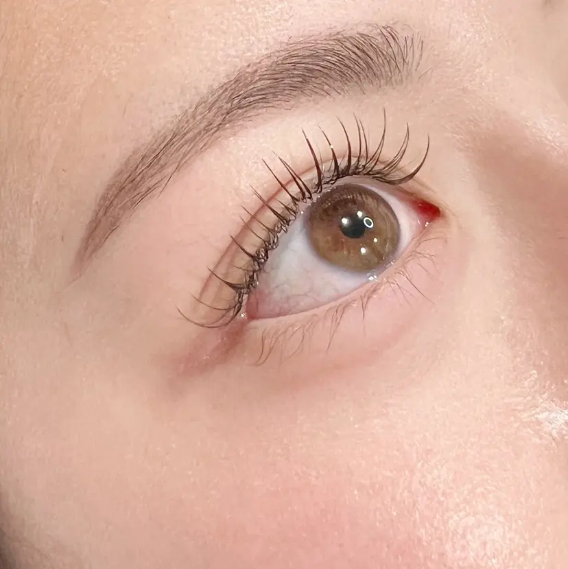 田井 希乃花の掲載