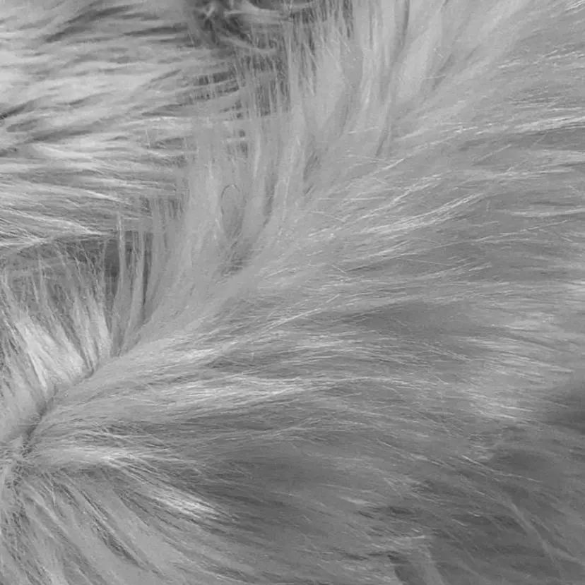 🩶松崎 未夢🩶の掲載