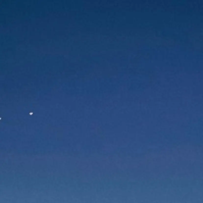 Bianca Nishikataの掲載