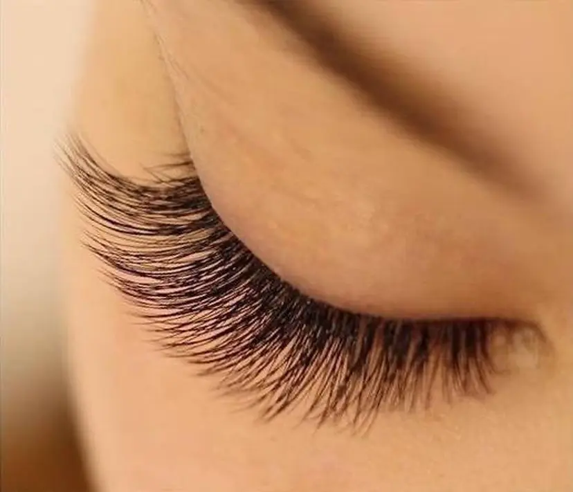 高橋 千恵の掲載