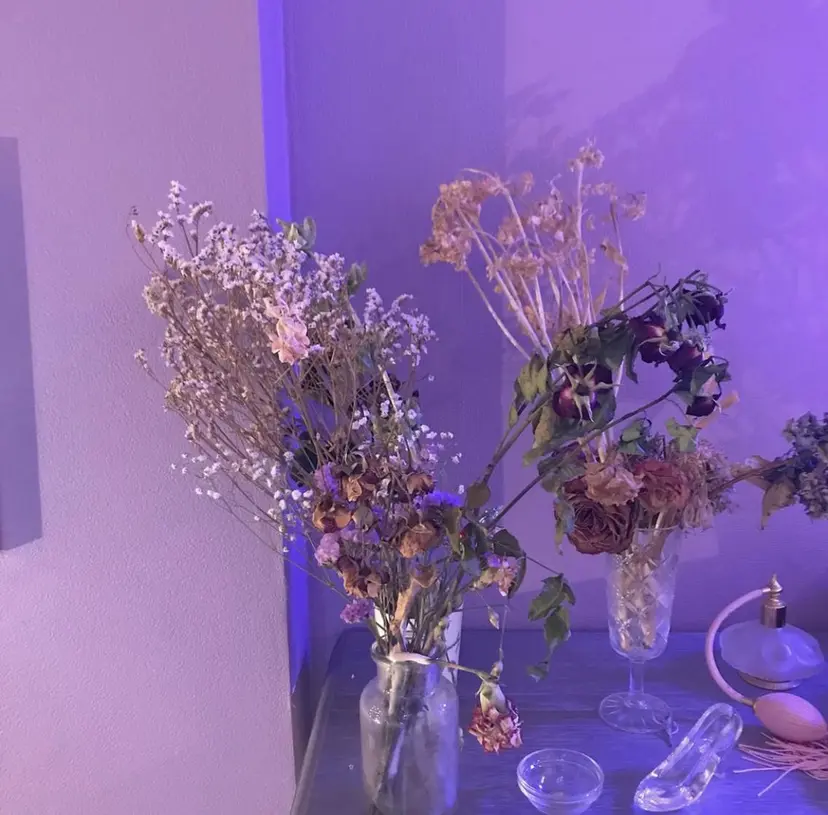 徳田 沙季の掲載