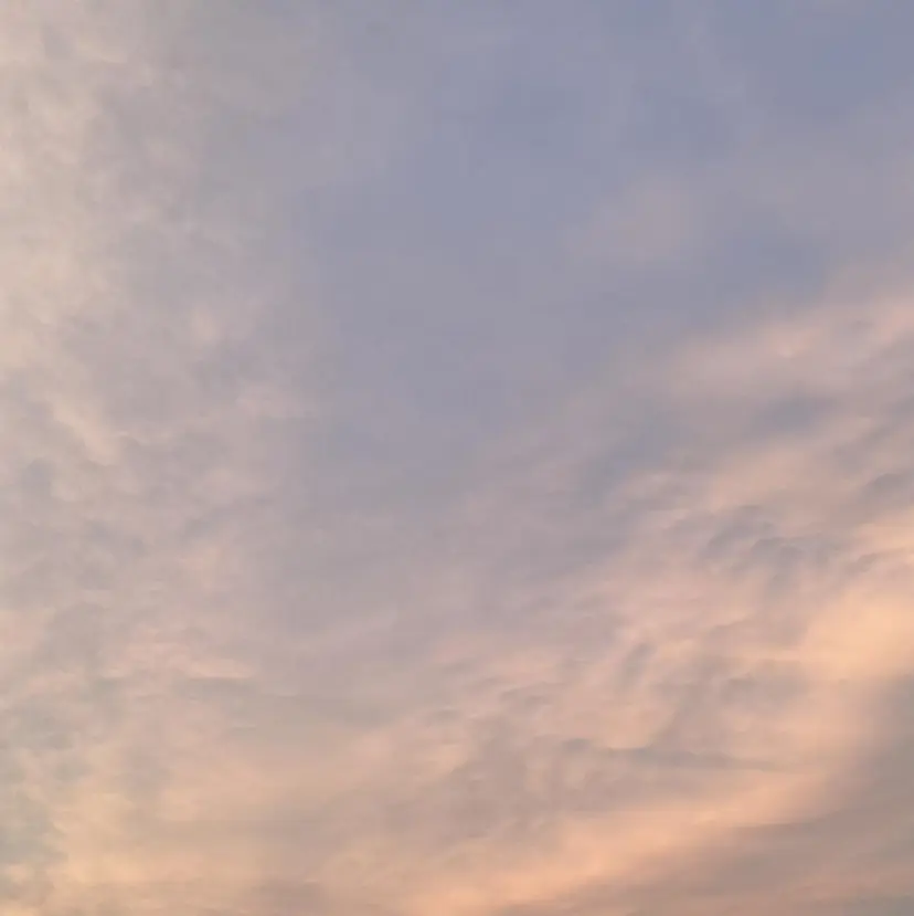 地毛風艶カラー🌿 喜多夏海の掲載