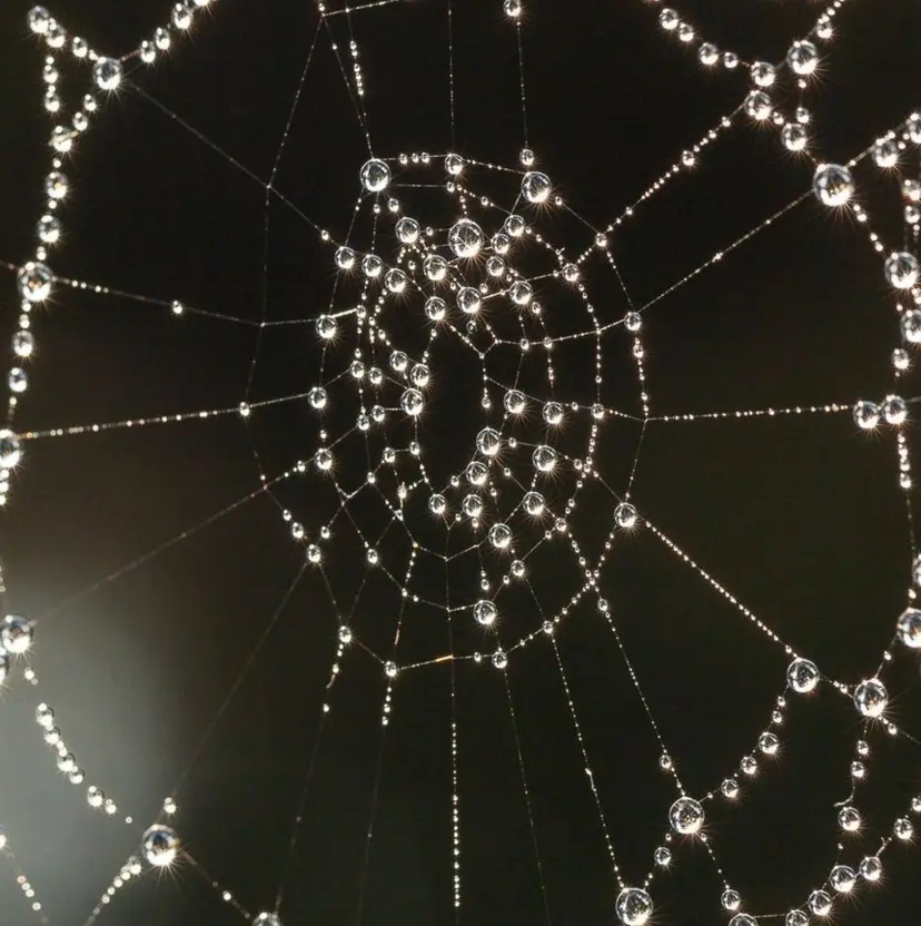 MAXKELLY HATSUNEの掲載