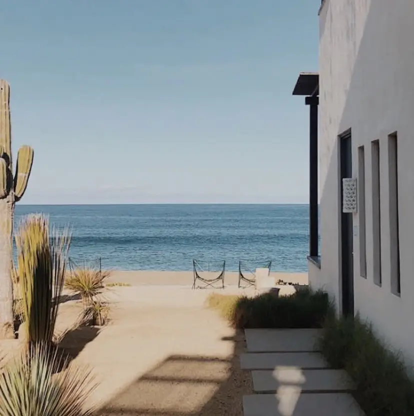 choco lash / noaの掲載