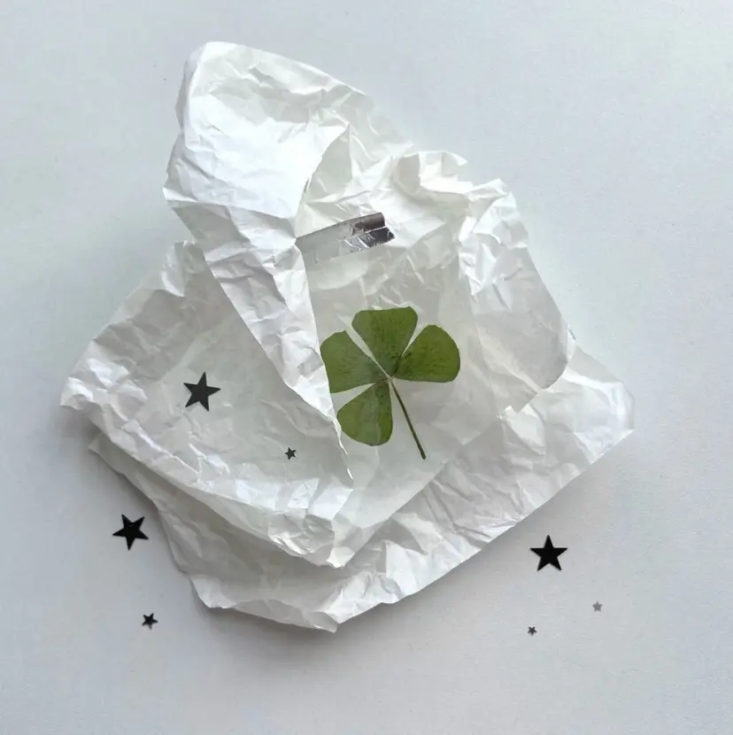 suui. mizukiの掲載