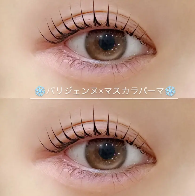 マリーテレジア SHIMIZU.yの掲載