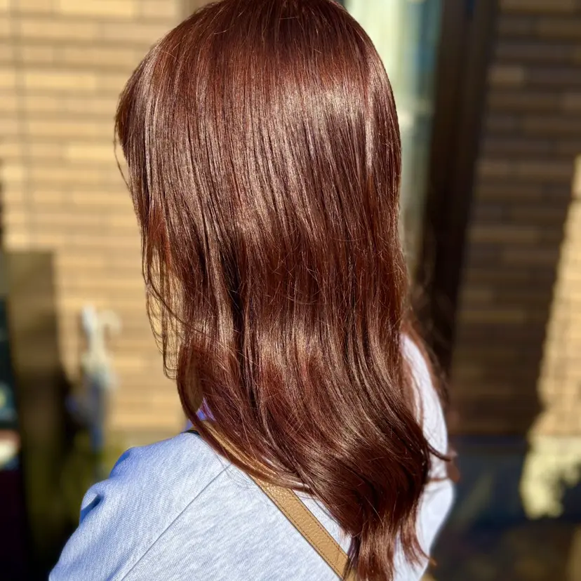 河合 紗紀の掲載